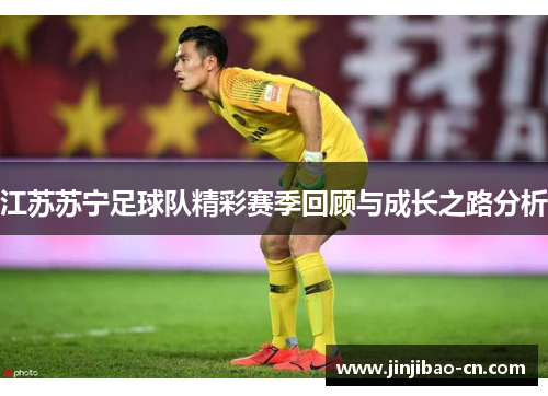 江苏苏宁足球队精彩赛季回顾与成长之路分析